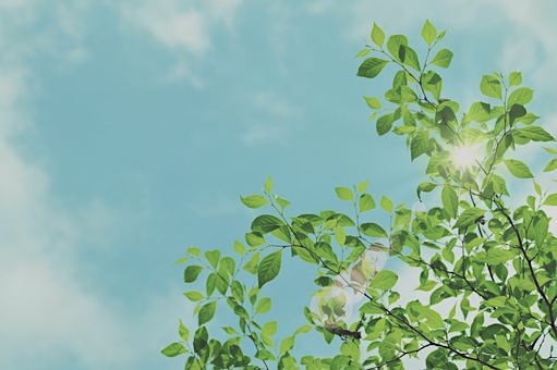 中小企業はDXで未来に向かう